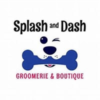 Splash and Dash Groomerie & Boutique