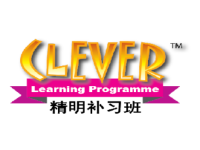 Clever Learning Programme